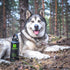 Thermos Harmony Black Comfort 1 L